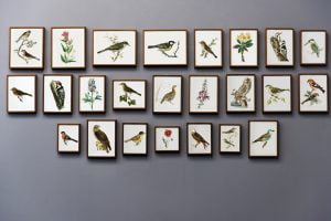 bird-painting-wall-animal-nature-art bird painting wall animal nature art